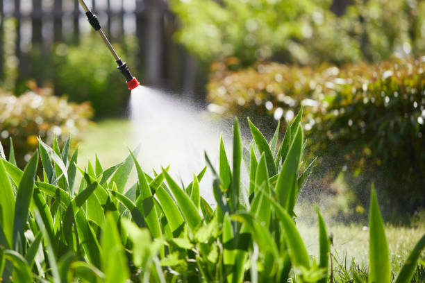 24/7 Emergency Mosquito Control experts in Chalmette, LA