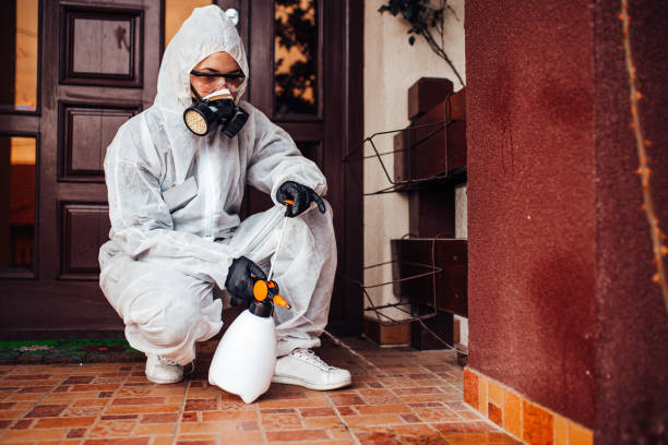 Reliable Mosquito Control contractor in Chalmette, LA by Show Me Pest Control