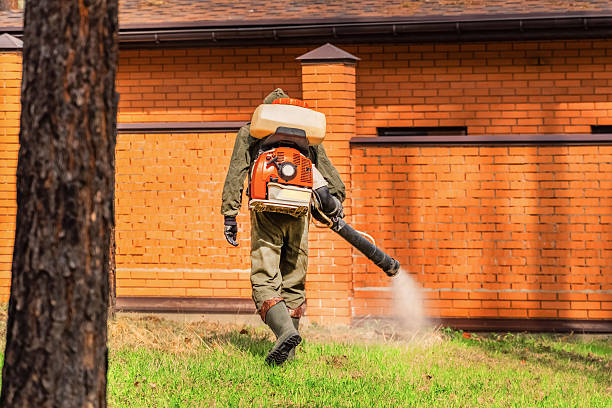 Top rated local Mosquito Control specialists in Chalmette, LA